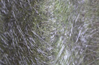 Inveresragan fibreglass roof work