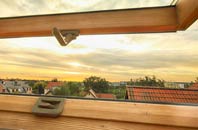 rated Inveresragan roof window companies